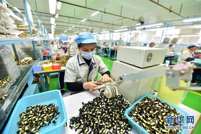 贵州丹寨:扶贫工厂助力搬迁群众稳定就业